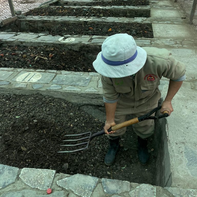 TRABAJO EN CAMAS